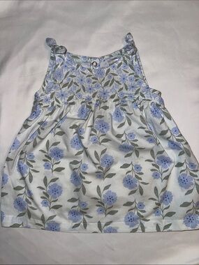 Carter's Light Blue and Green Floral Baby Girl Dress